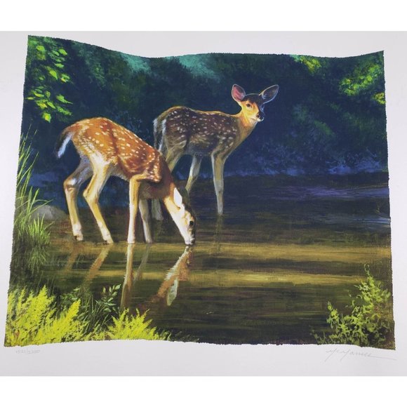 Pat McManus Fawn Baby Deer Art Print Numbered - Picture 1 of 8